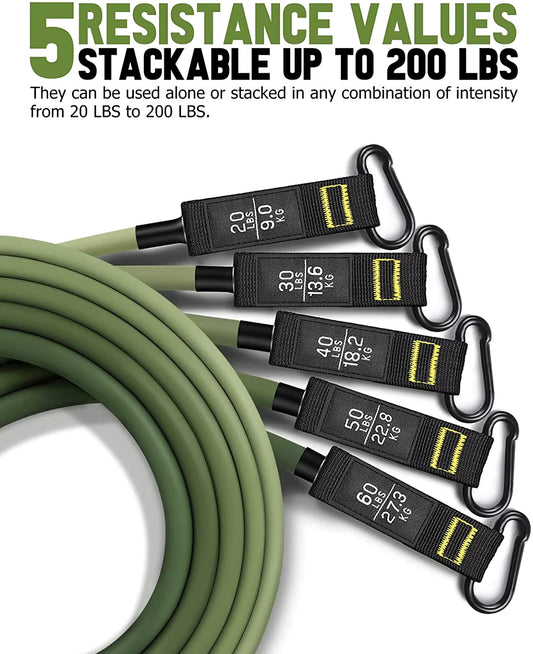 Professional Training Band Set – 5 Levels - MX Fit Gear