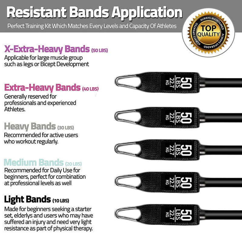 Professional Training Band Set – 5 Levels