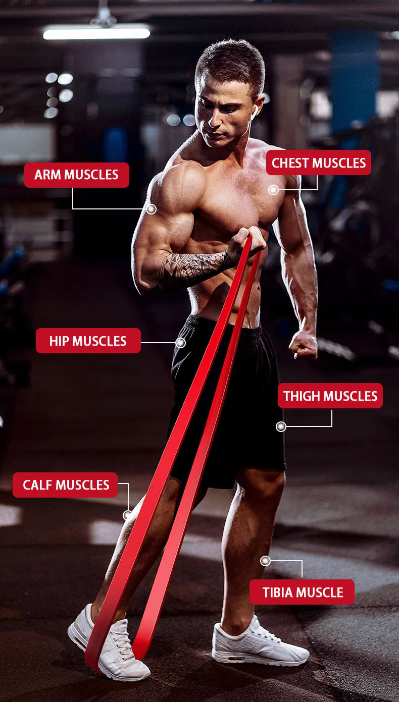 Premium Resistance Bands – 11 Levels